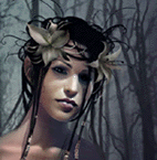Avatar storico di Maojan